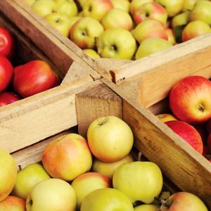Produce