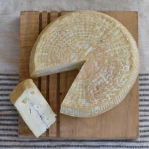 Malloy - Cheese from Barn First Creamery