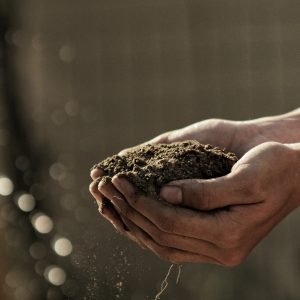 Compost & Soil Amendments